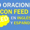 30 Oraciones Con Feed En Inglés | Frases Con Feed