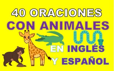 Oraciones Con Animales En Inglés
